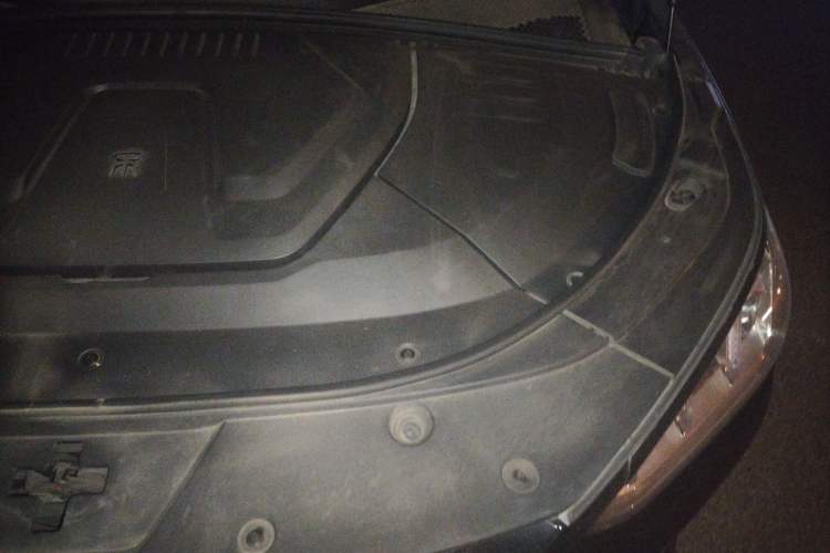 Used BYD Song PLUS New Energy 2021 EV Flagship Model
