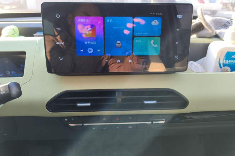 Used  Panda 2024 Panda Mini 200km Endurance Bear