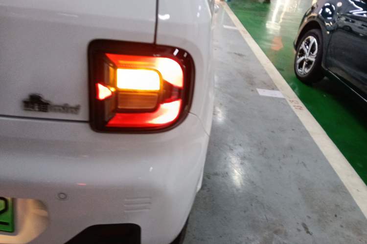 Used  Panda 2024 Panda Mini 200km Longteng PRO Edition