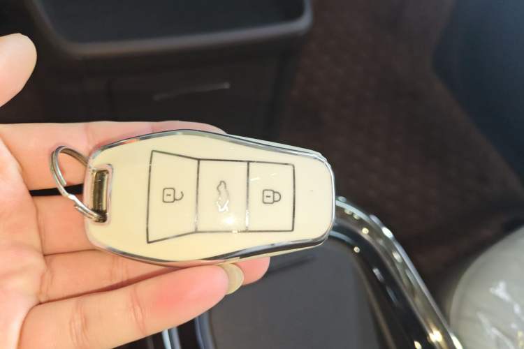 Used  3 2024 Beloved Edition 330km Air+