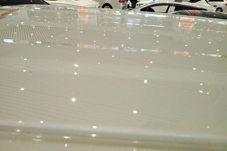 Used  Panda 2024 Panda Mini 200km Endurance Bear