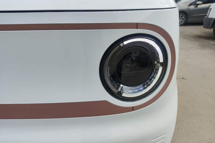 Used  Panda 2024 Panda Mini 200km Endurance Bear
