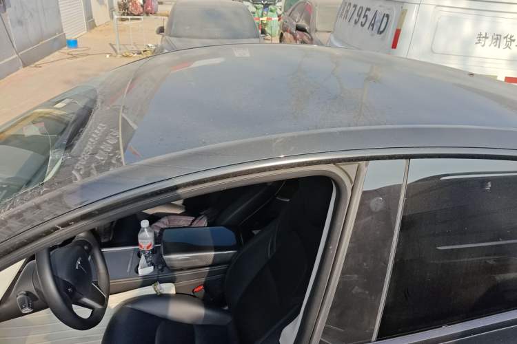 Used Tesla Model Y 2021 Standard Range Rear-Wheel Drive Version
