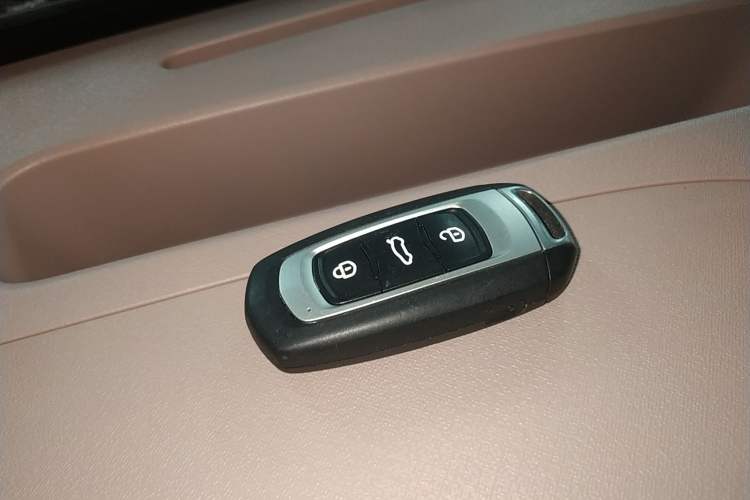 Used  Panda 2025 210 km – Yuanqi Bear
