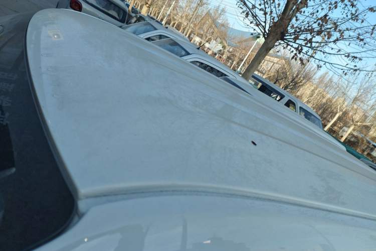 Used  Panda 2024 Panda Mini 200km Endurance Bear