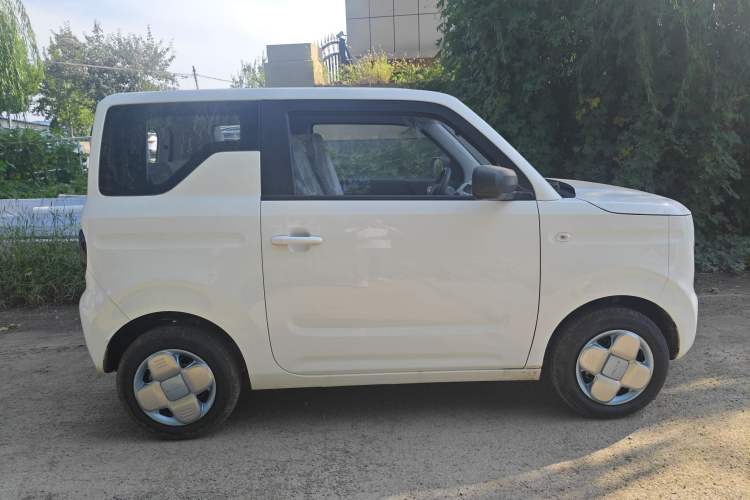 Used  Panda 2024 Panda Mini 200km Endurance Bear
