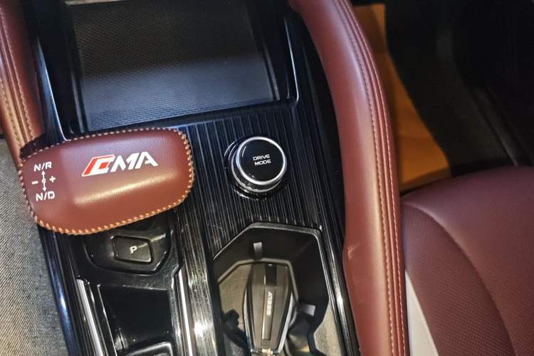 Used Geely Auto Monjaro L 2021 2.0TD DCT EVO Two-Wheel Drive Prestige Version
