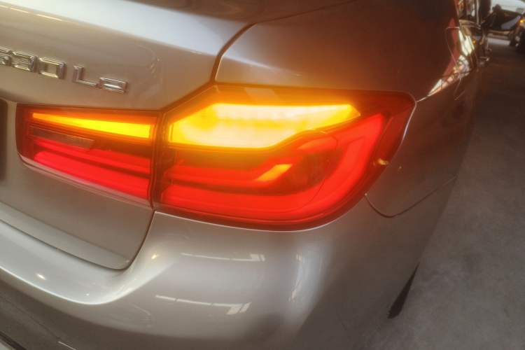 Used BMW 5 Series New Energy 2020 530Le Luxury Package
