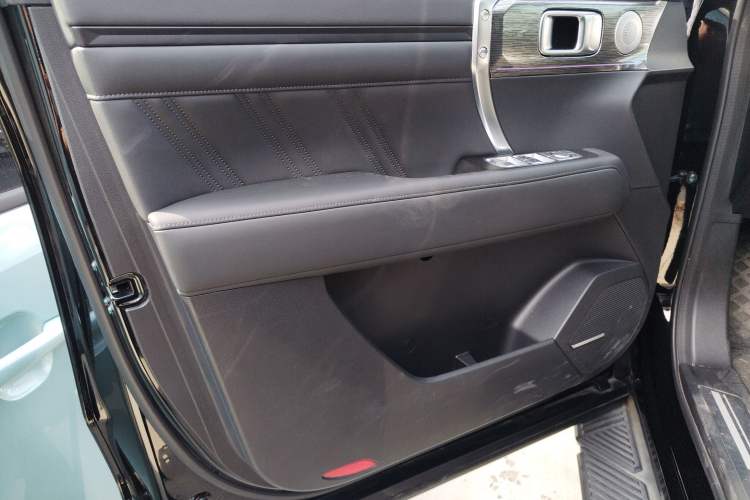 Used Tank 400 2025 2.0T Gasoline Version
