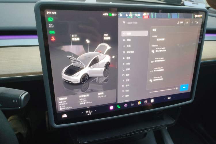 Used Tesla Model Y 2021 Performance High-Performance All-Wheel-Drive Version