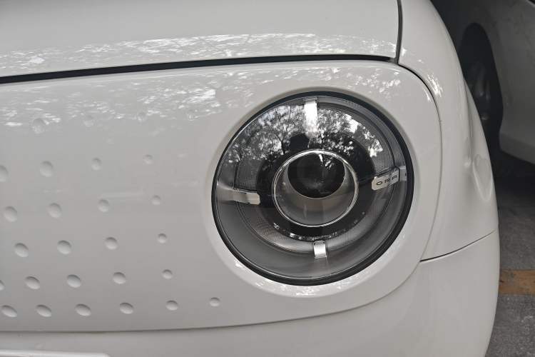 Used ORA Black Cat 2019 351 km Lingzhi Edition