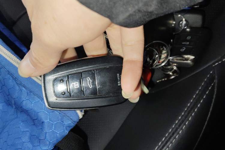 Used Toyota Wildlander 2023 Dual-Motor 2.5L E-CVT Four-Wheel Drive Prestige Edition
