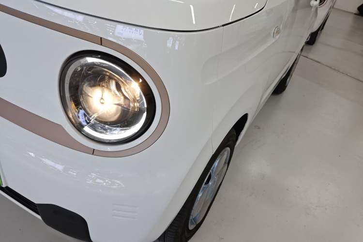 Used  Panda 2024 Panda Mini 200km Endurance Bear
