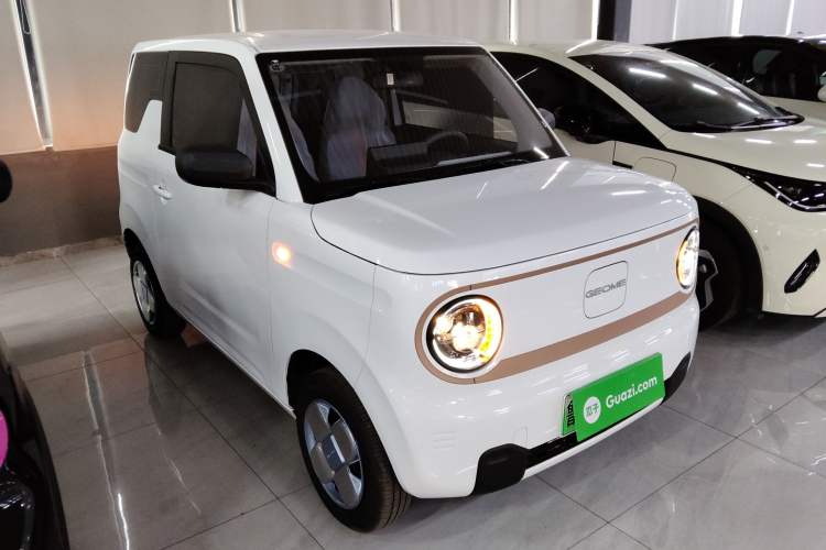 Used  Panda 2024 Panda Mini 200km Endurance Bear
