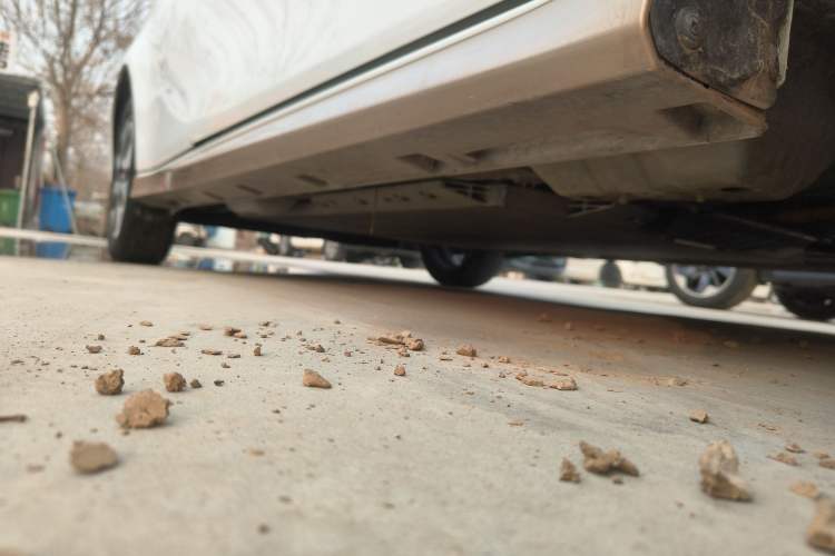 Used ORA White Cat 2022 Xiaoyue Mao Edition 360 km Luxury Model Lithium NMC
