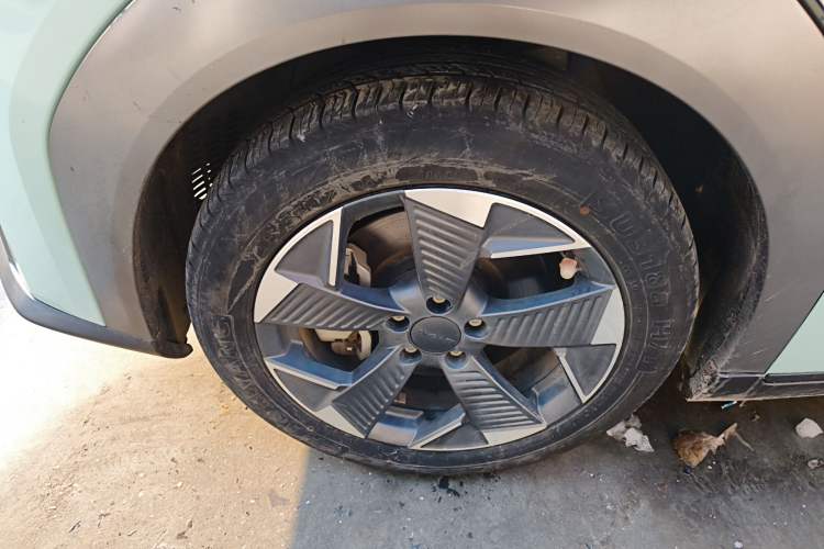 Used AION Y 2022 70 Enjoyment Edition Lithium Iron Phosphate
