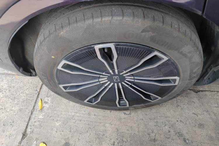 Used  07 2024 Max Extended-Range Edition
