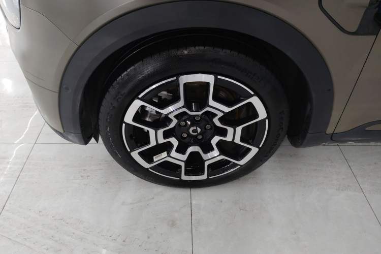 Used  #5 2024 Jungle Realm Limited Edition