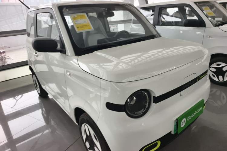 Used  Panda 2025 210 km – Yuanqi Bear

