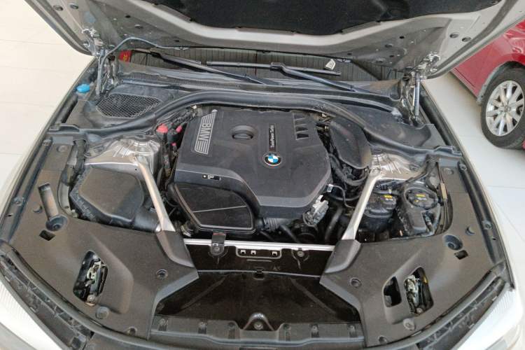 Used BMW 5 Series 2019 Facelifted 530Li Leading Edition Luxury Package
