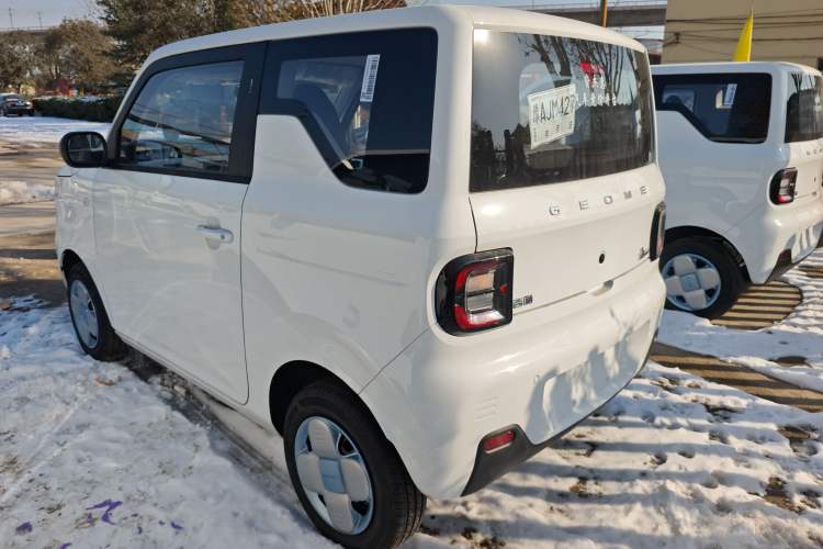 Used  Panda 2024 Panda Mini 200km Endurance Bear