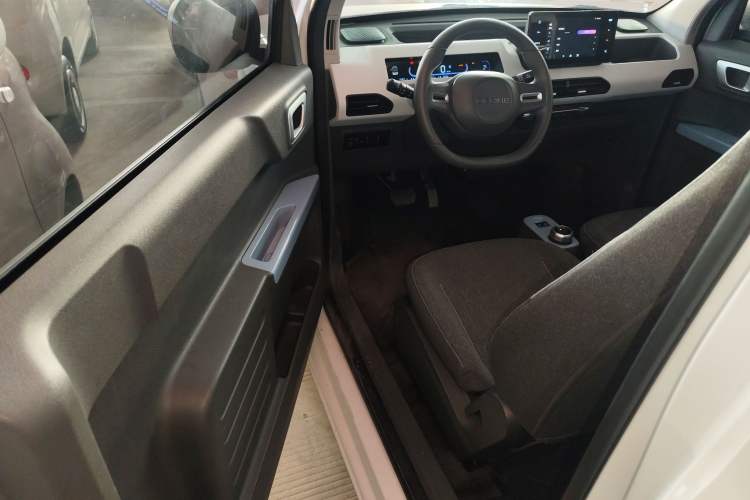 Used  Panda 2023 Panda Mini 200km Endurance Bear
