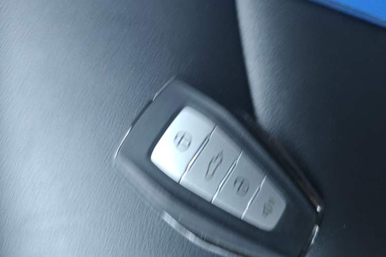 Used  Horizon 2023 410 km Entrepreneur Edition
