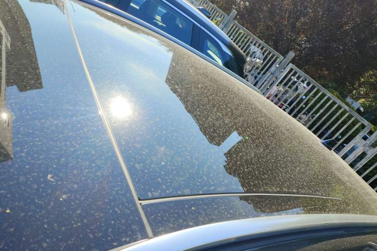 Used Lincoln Corsair 2023 2.0T Two-Wheel Drive Luxury Edition
