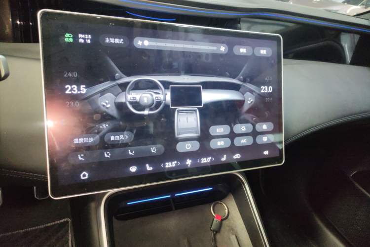 Used  11 2023 Long-Range Single-Motor Version 5 Seats