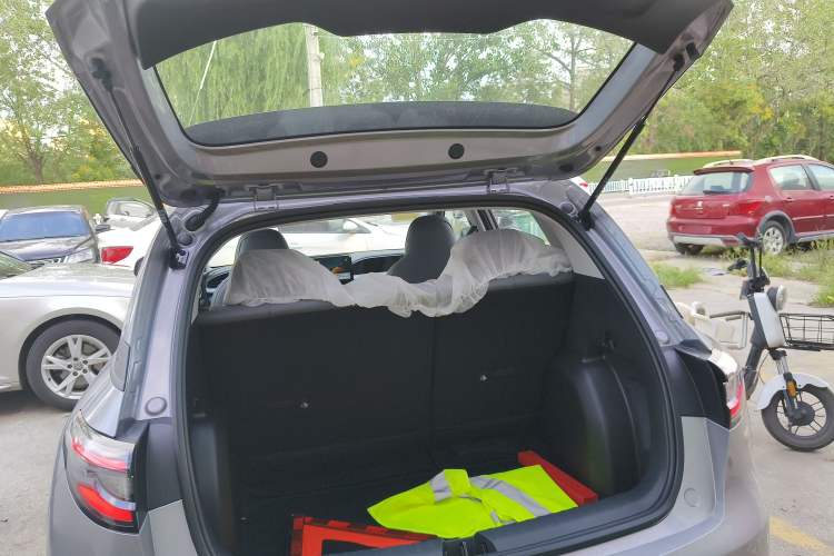 Used  Geome 2025 310km Youth Edition