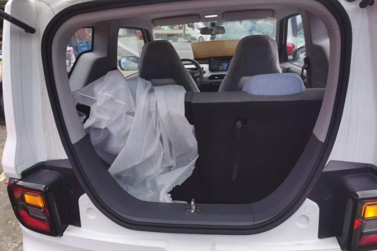 Used  Panda 2024 Panda Mini 200km Endurance Bear
