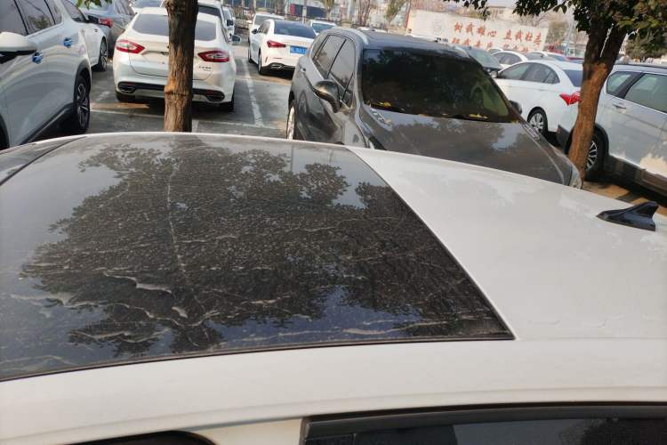 Used Volkswagen Golf 2021 280TSI DSG Pro
