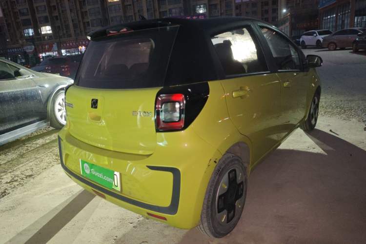 Used SOL E10X 2022 Flower Fairy Design Four-Leaf Clover
