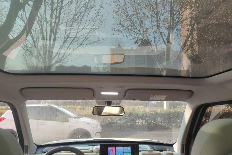 Used  Panda 2023 Panda Mini 200km Dynamic Bear