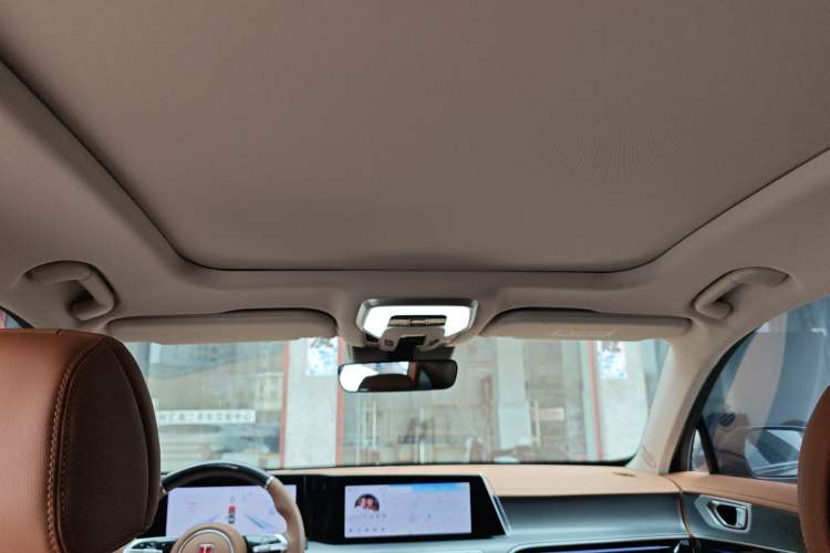 Used Hongqi H9 2024 2.0T Qichang Private Enjoyment Luxury Edition
