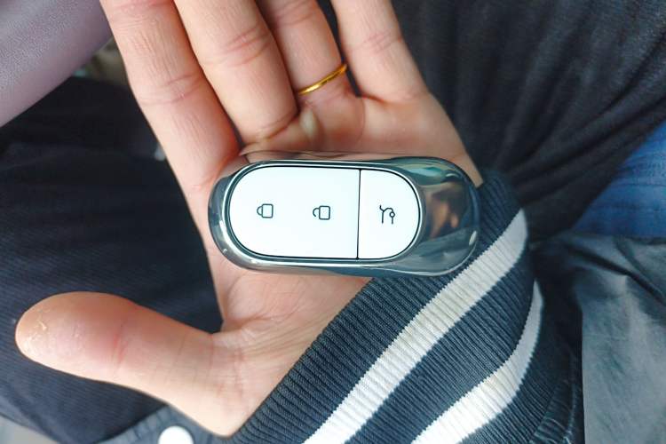 Used Leapmotor C11 2023 Pure Electric 500 Comfort Edition
