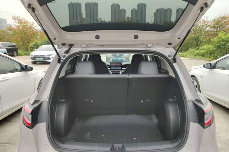 Used  Geome 2025 310km Youth Edition
