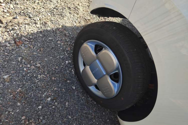 Used  Panda 2024 Panda Mini 200km Endurance Bear
