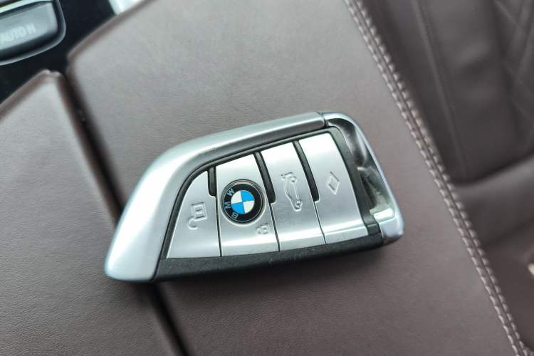 Used BMW 5 Series New Energy 2019 530Le Luxury Package
