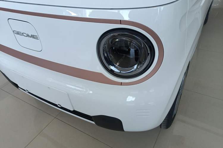 Used  Panda 2024 Panda Mini 200km Endurance Bear
