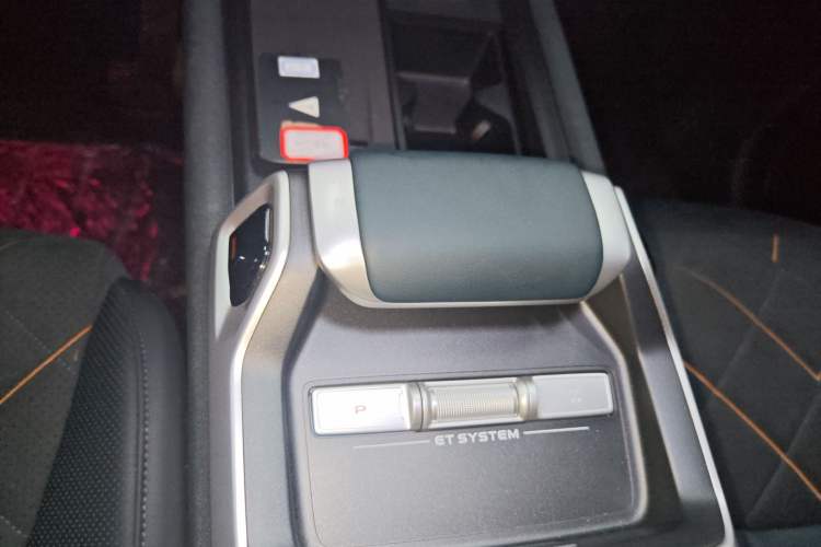 Used  G318 2025 Worry-Free Adventure Edition Four-Wheel Drive Secret Realm Version