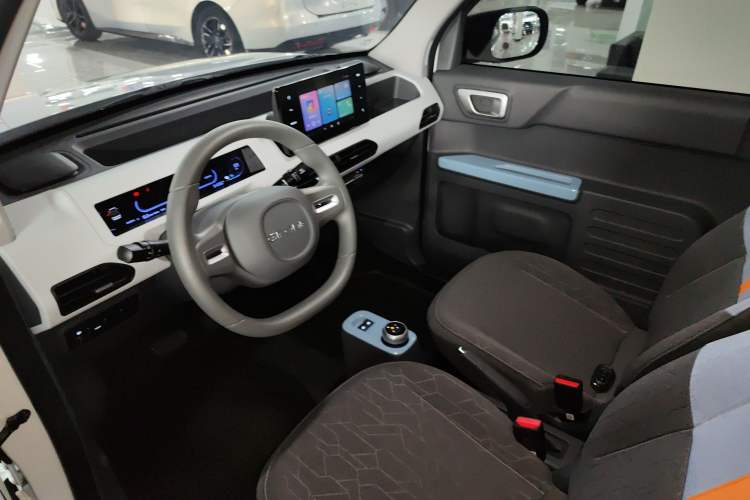 Used  Panda 2024 Panda Mini 200km Endurance Bear
