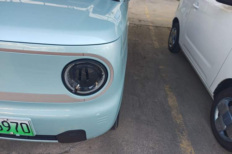 Used  Panda 2023 Panda Mini 200km Endurance Bear
