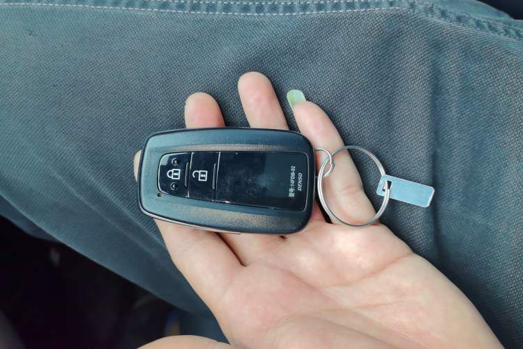 Used Toyota Wildlander 2022 Dual-Engine 2.5L E-CVT Two-Wheel Drive Luxury Edition
