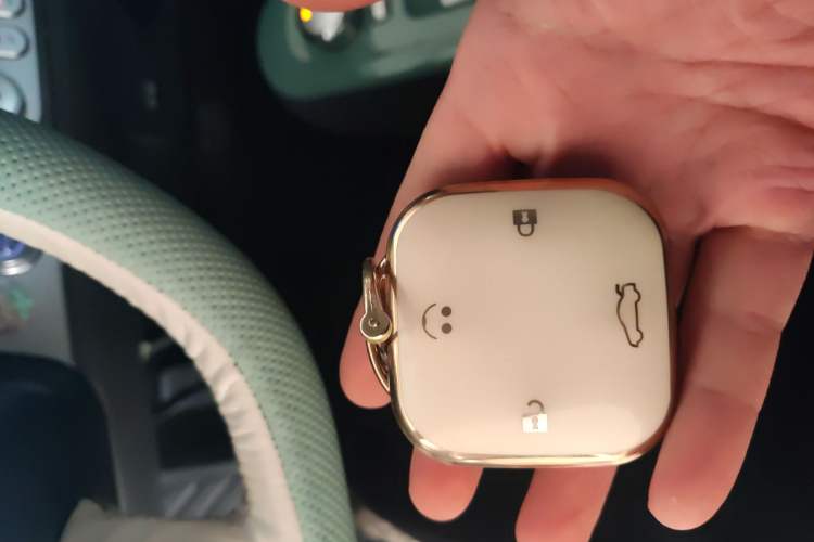 Used  Lumin 2023 301km Honey Dew Edition