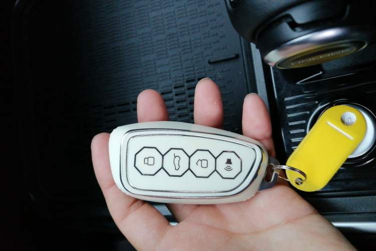 Used Haval X DOG 2022 1.5T DCT Two-Wheel Drive Trendy Edition