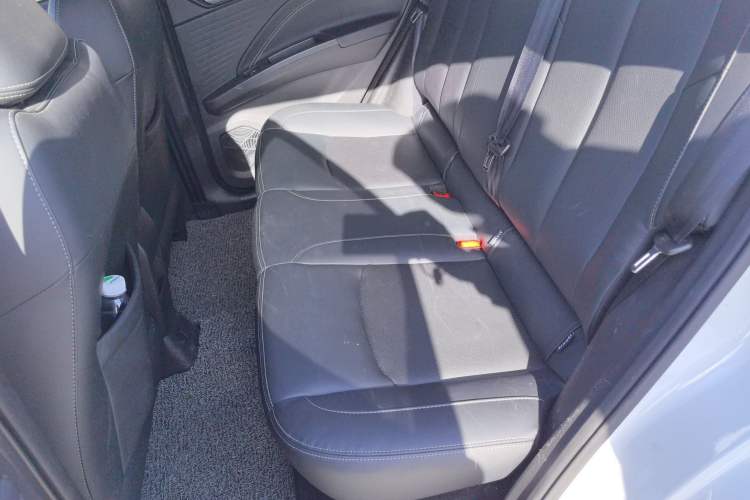 Used NETA V 2022 Chao 300 Lite Lithium Iron Phosphate