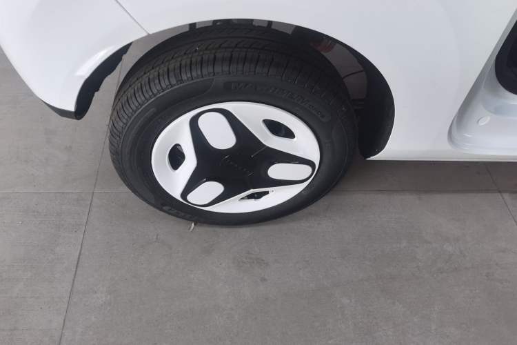 Used  Panda 2025 210 km – Yuanqi Bear
