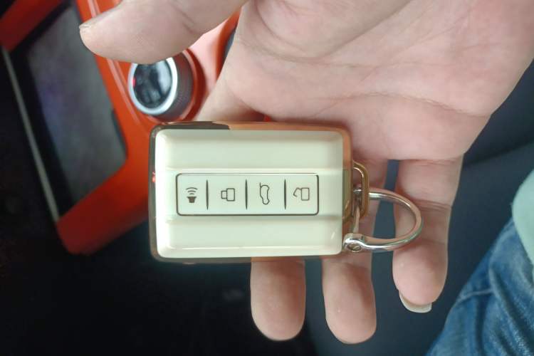 Used Tank 300 2021 City Edition 2.0T—Truly Stylish