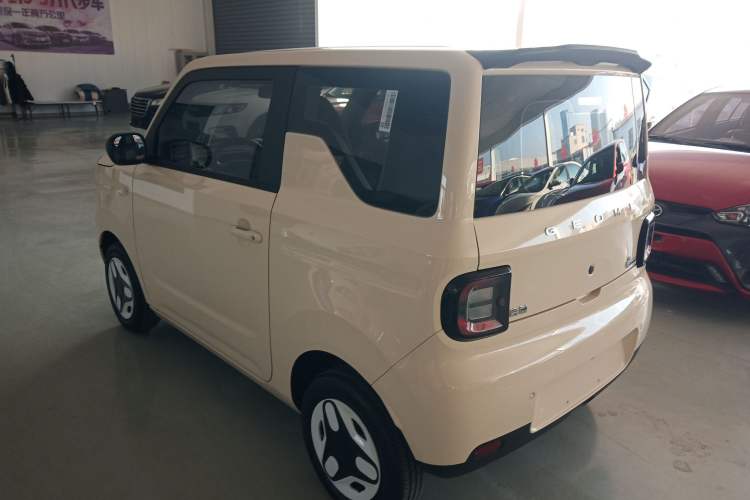Used  Panda 2025 210 km – Yuanqi Bear

